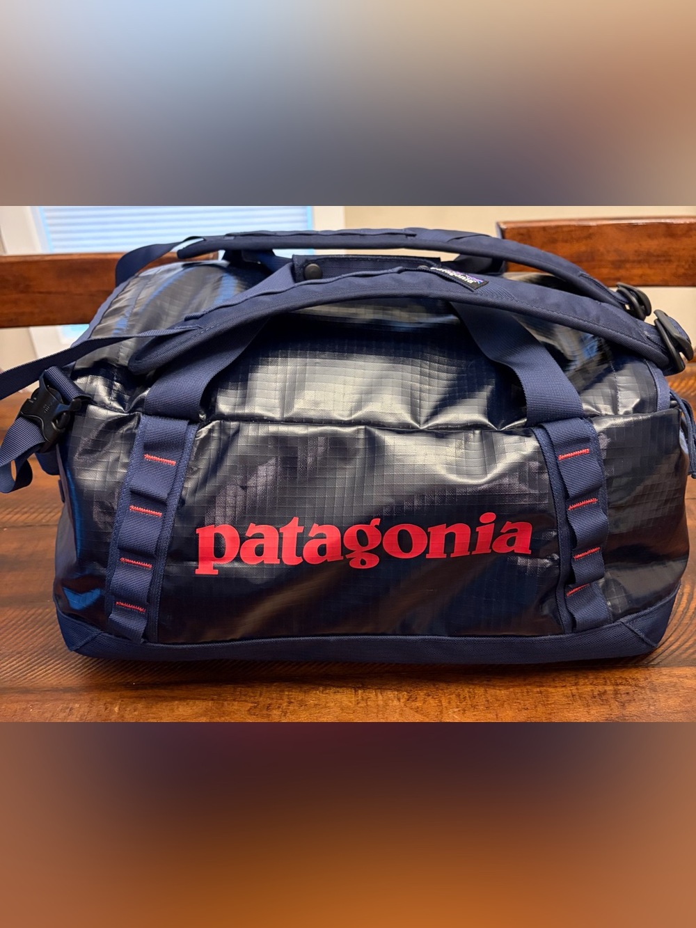Patagonia black hole 40 L glossy duffel/luggage bag